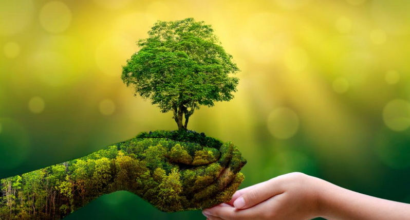 image-nature